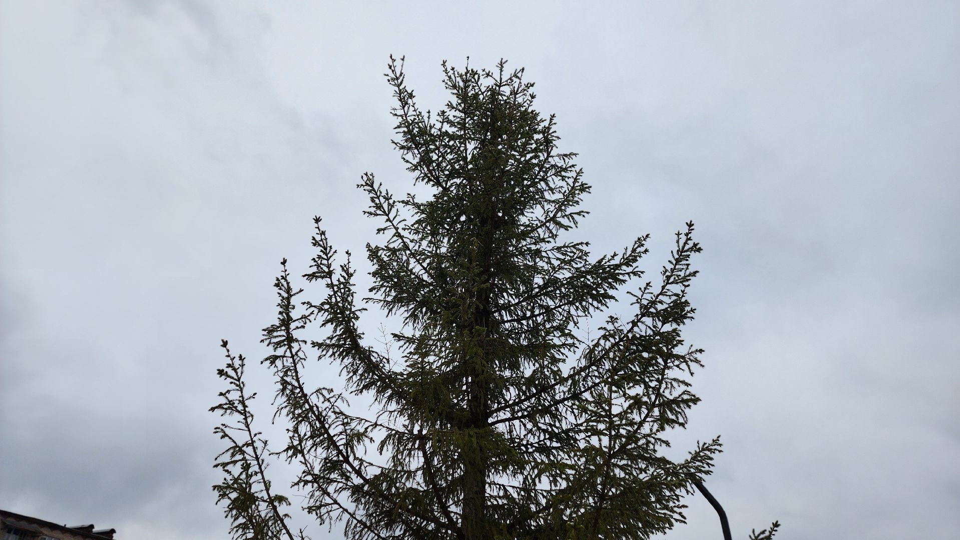 клин, поселок 31 октября, семейный сквер, благоустройство,