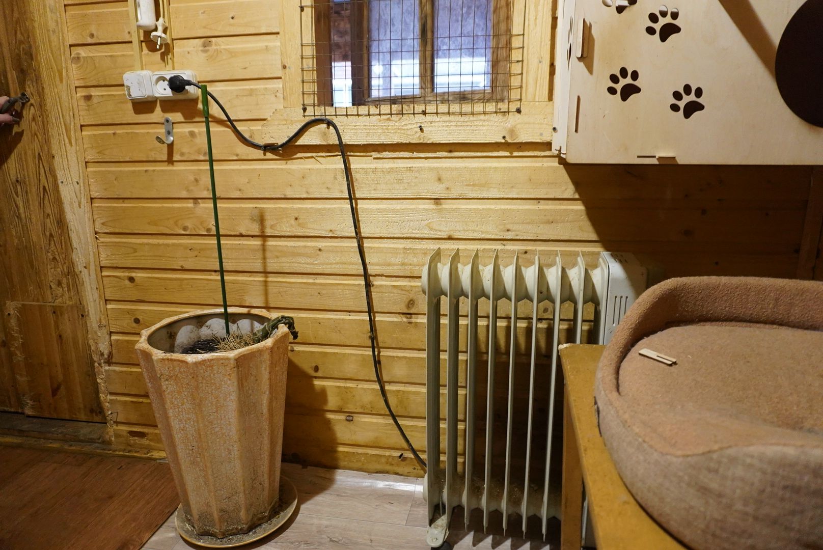 павловский посад, приют , собаки,