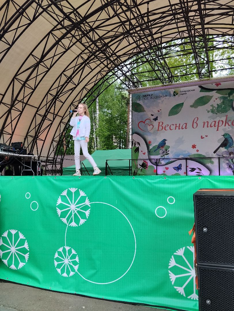 Фестиваль, парк, Центральный парк, Ногинск, Богородский городской округ