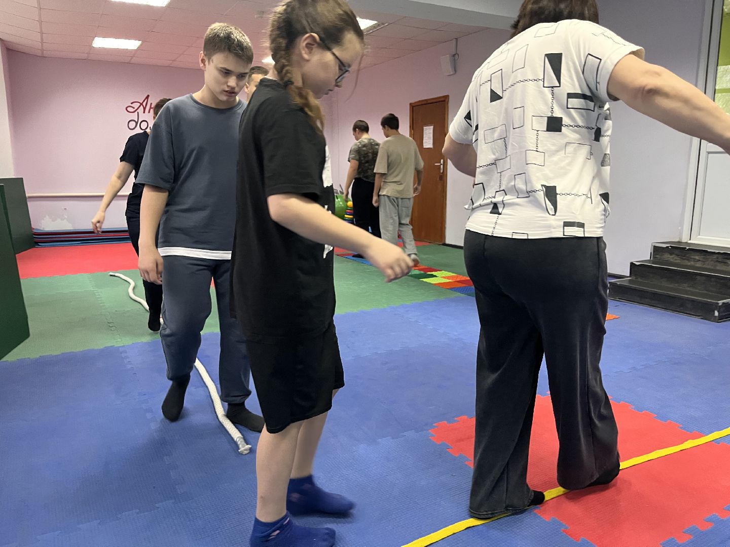 шатура, овз,