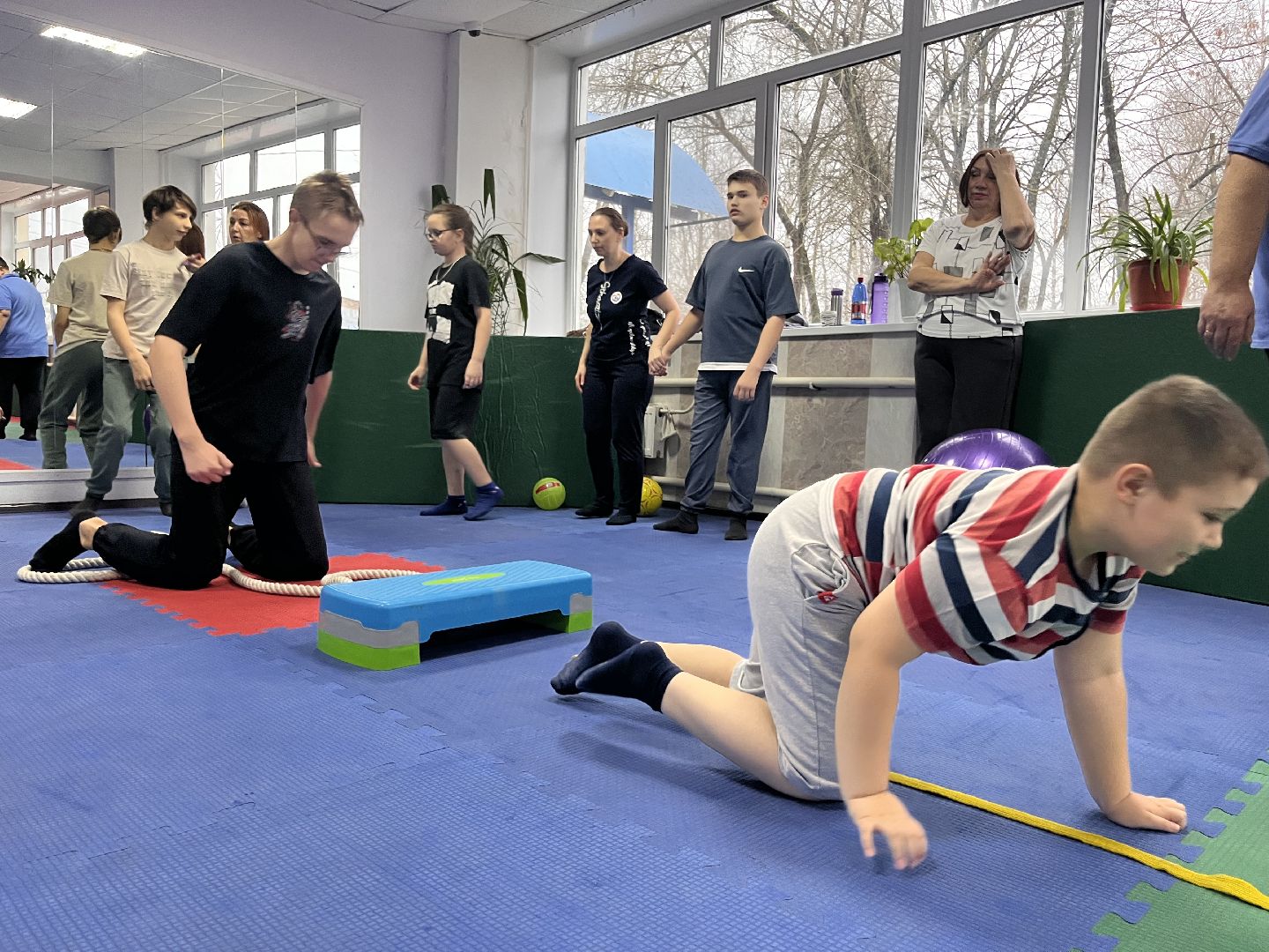 шатура, овз,