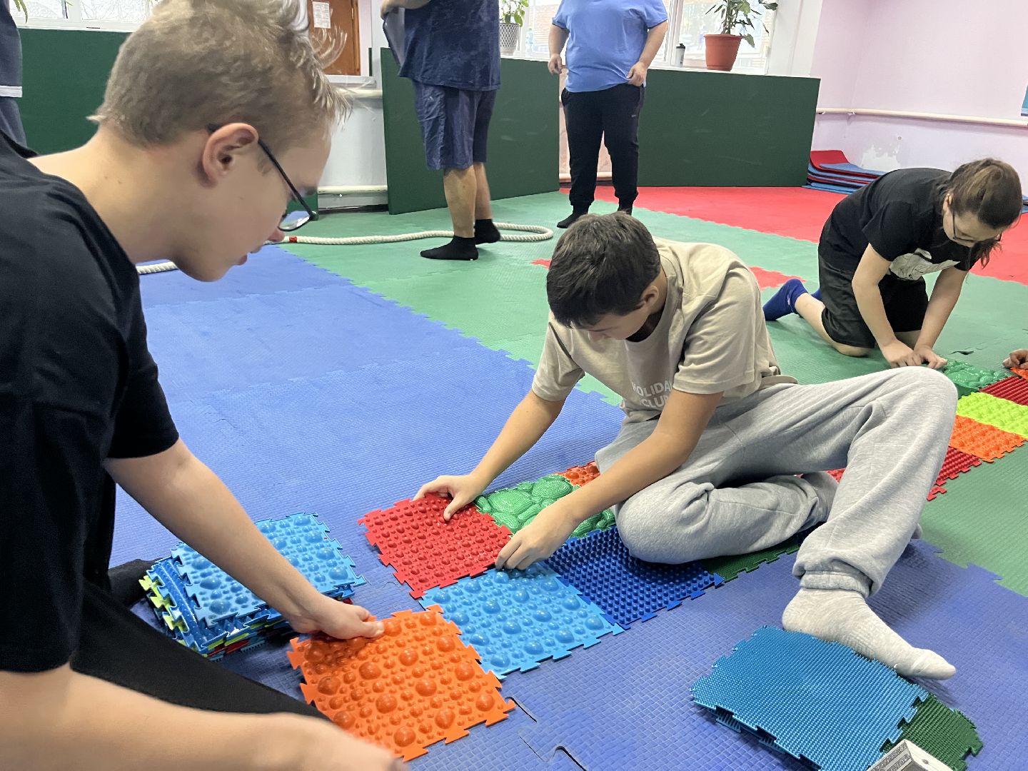 шатура, овз,