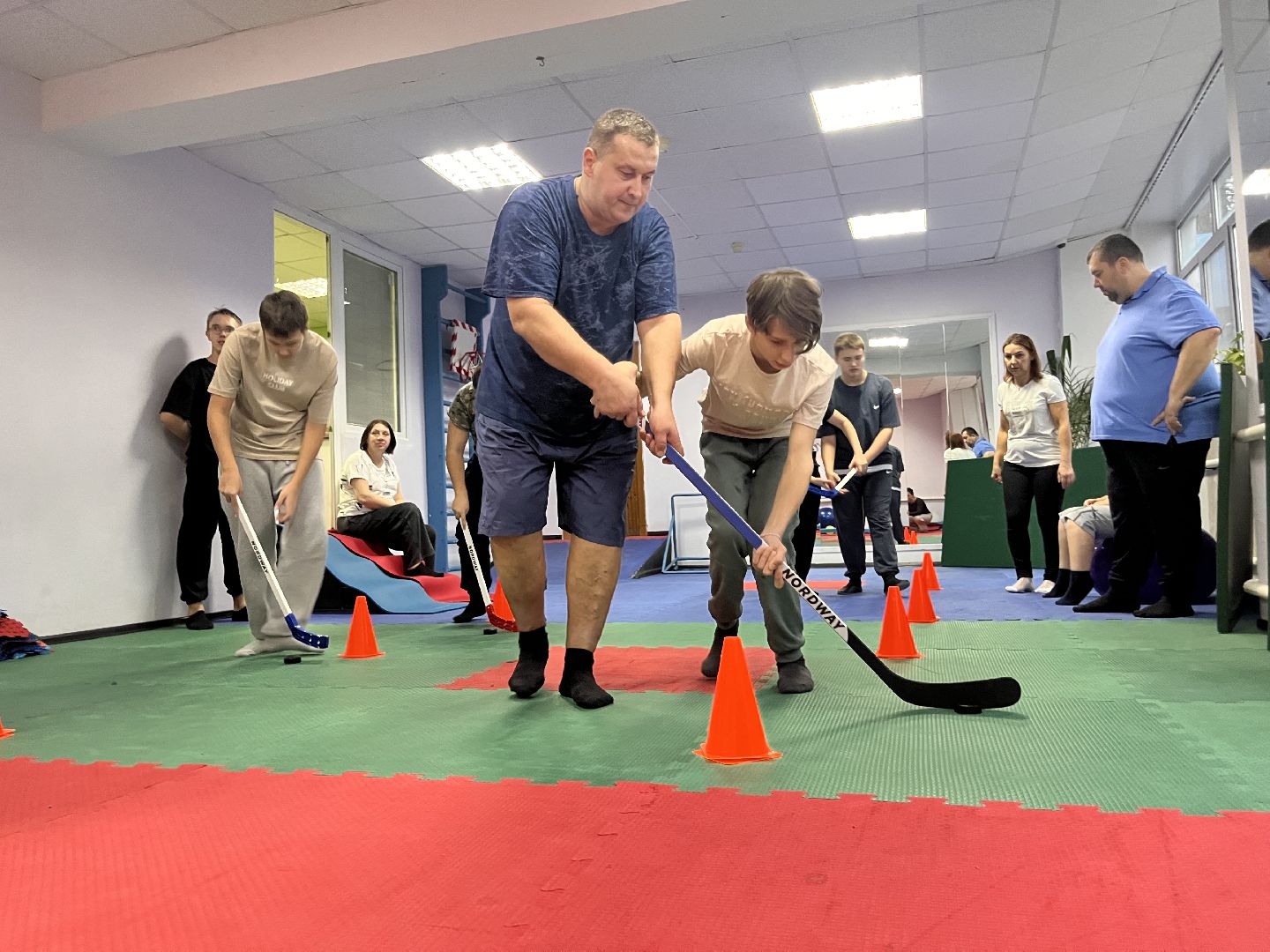 шатура, овз,