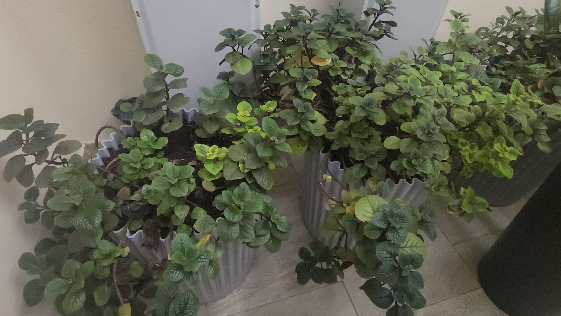 люберцы, ремонт подъезда, управляющая компания,