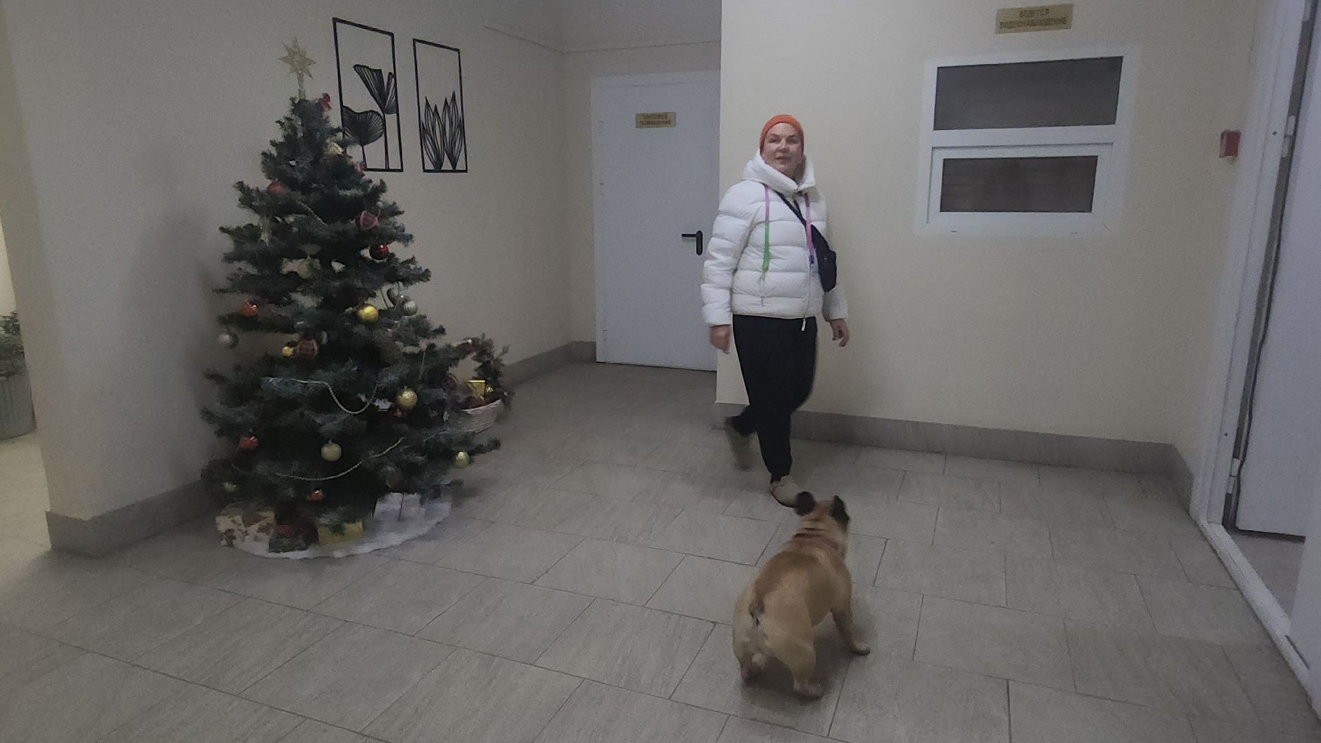 люберцы, ремонт подъезда, управляющая компания,