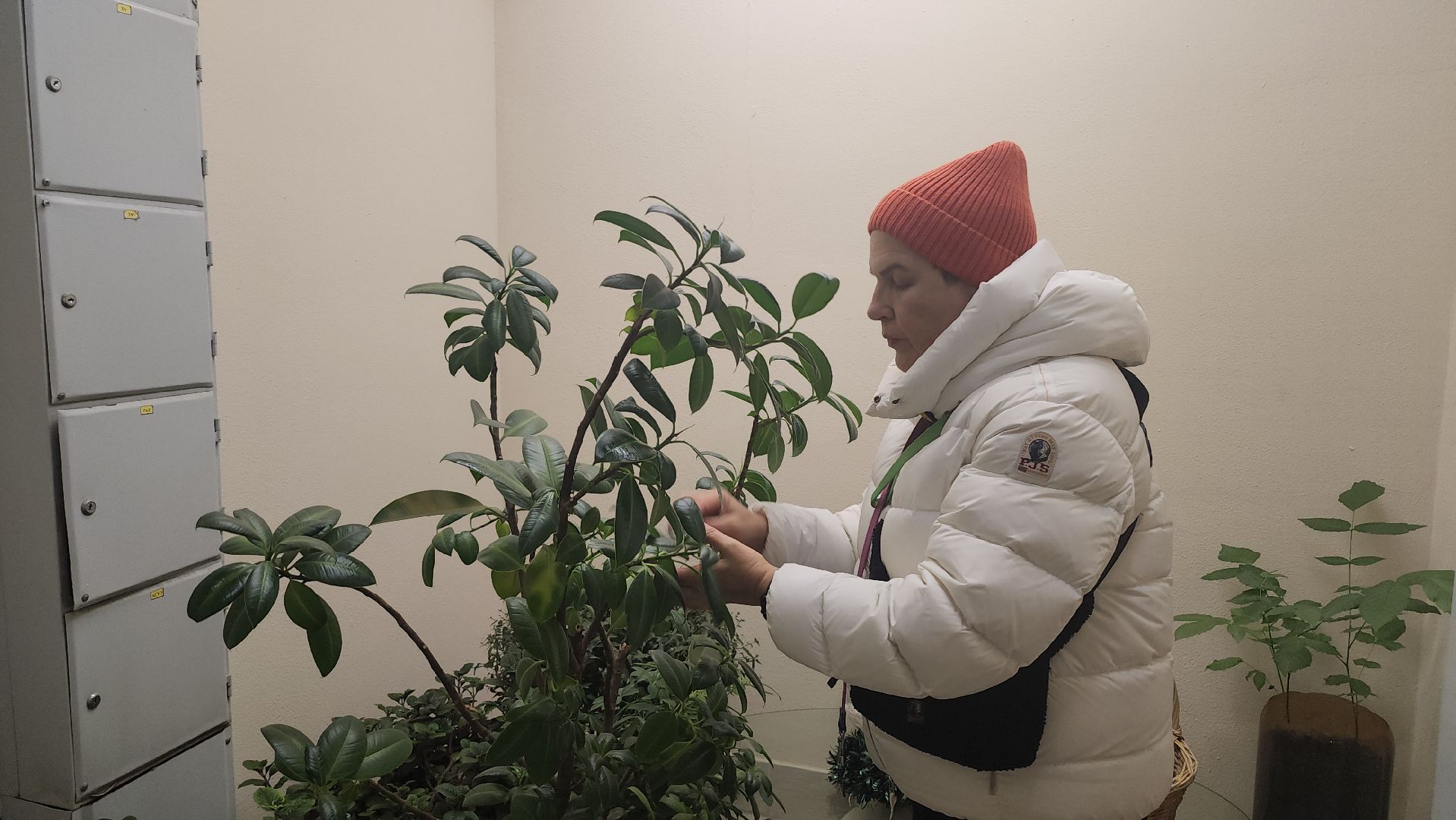 люберцы, ремонт подъезда, управляющая компания,