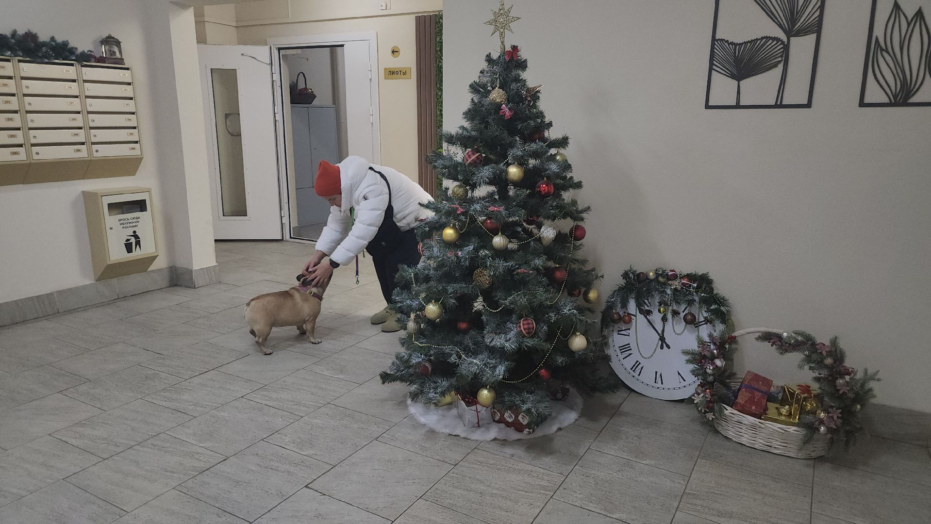 люберцы, ремонт подъезда, управляющая компания,