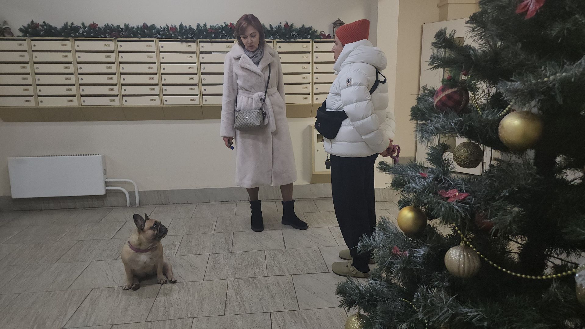 люберцы, ремонт подъезда, управляющая компания,