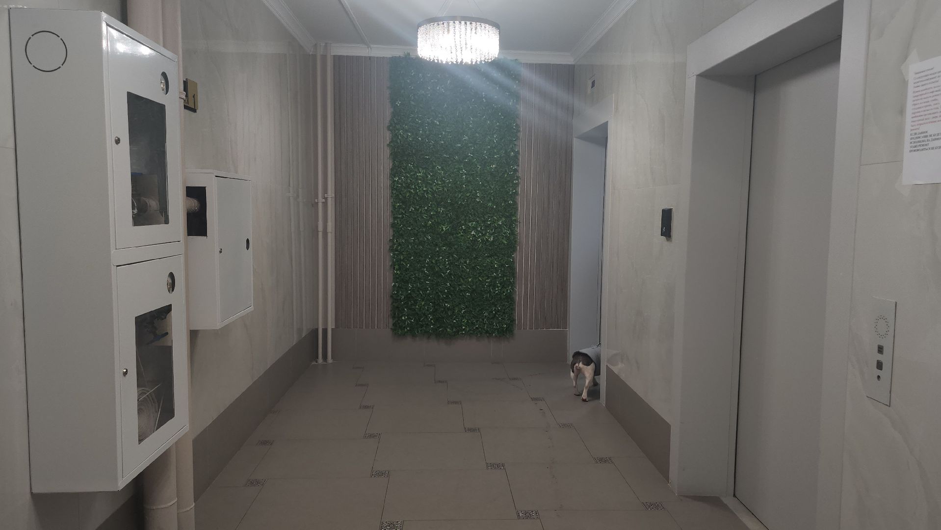 люберцы, ремонт подъездов, жители, управляющая компания,