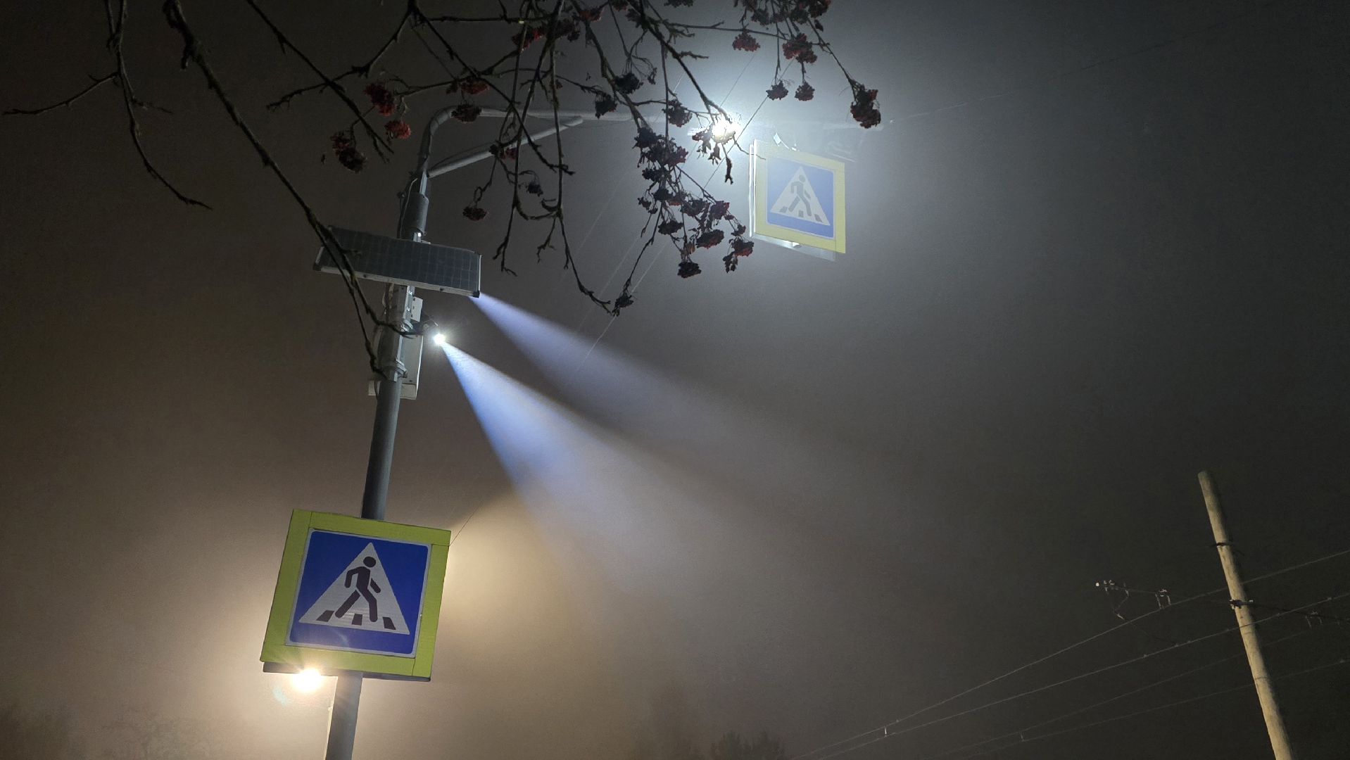 Коломна, проекционный пешеходный переход,