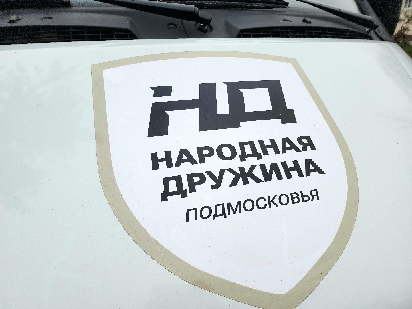 солнечногорск , дружина , патруль, порядок,