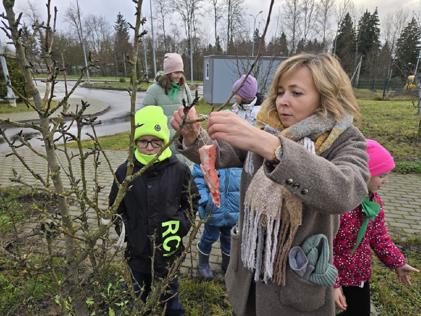 можайск, можайский муниципальный округ, подмосковье, образование, экология, юные лесничие, зимовка птиц, познавательный урок, школа,