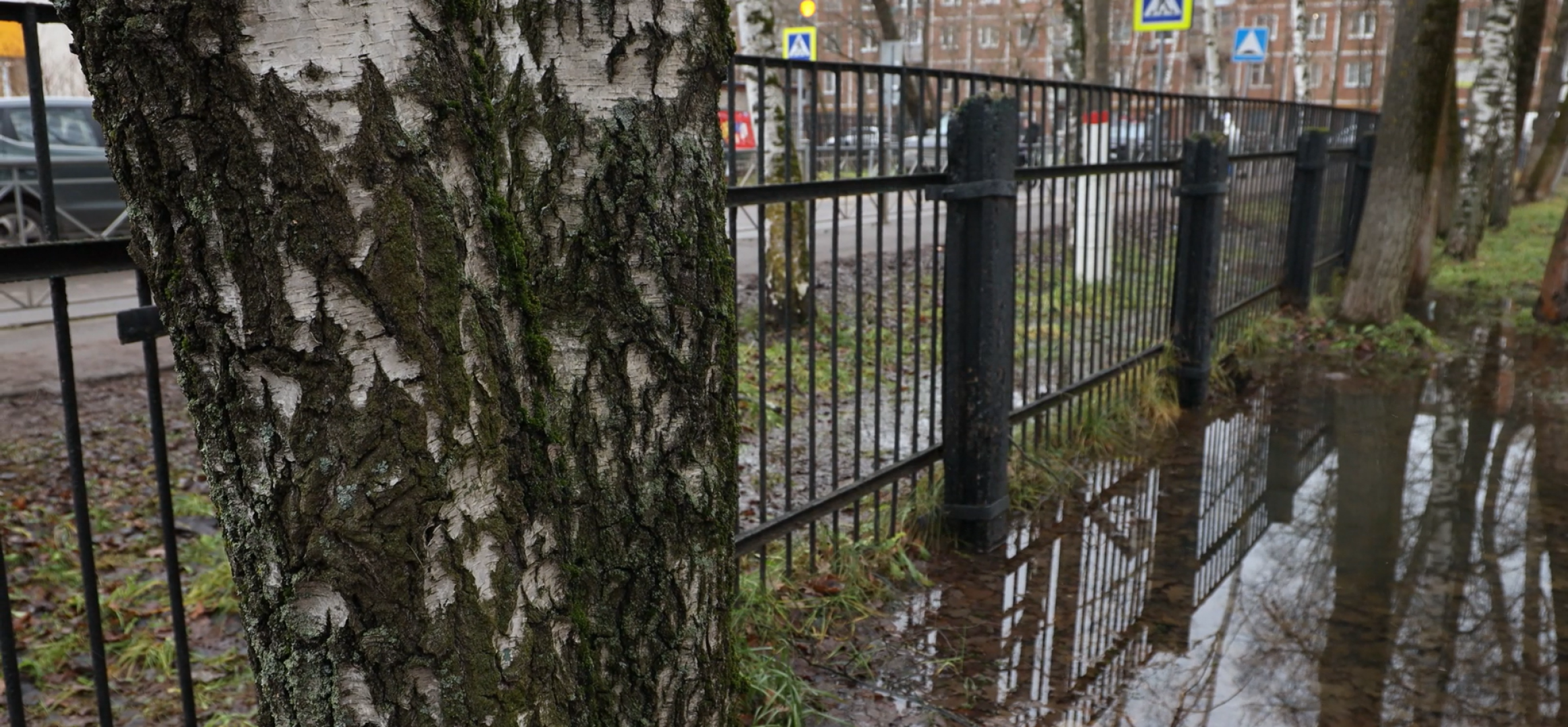 депутат,  администрация, жители, подтопление,