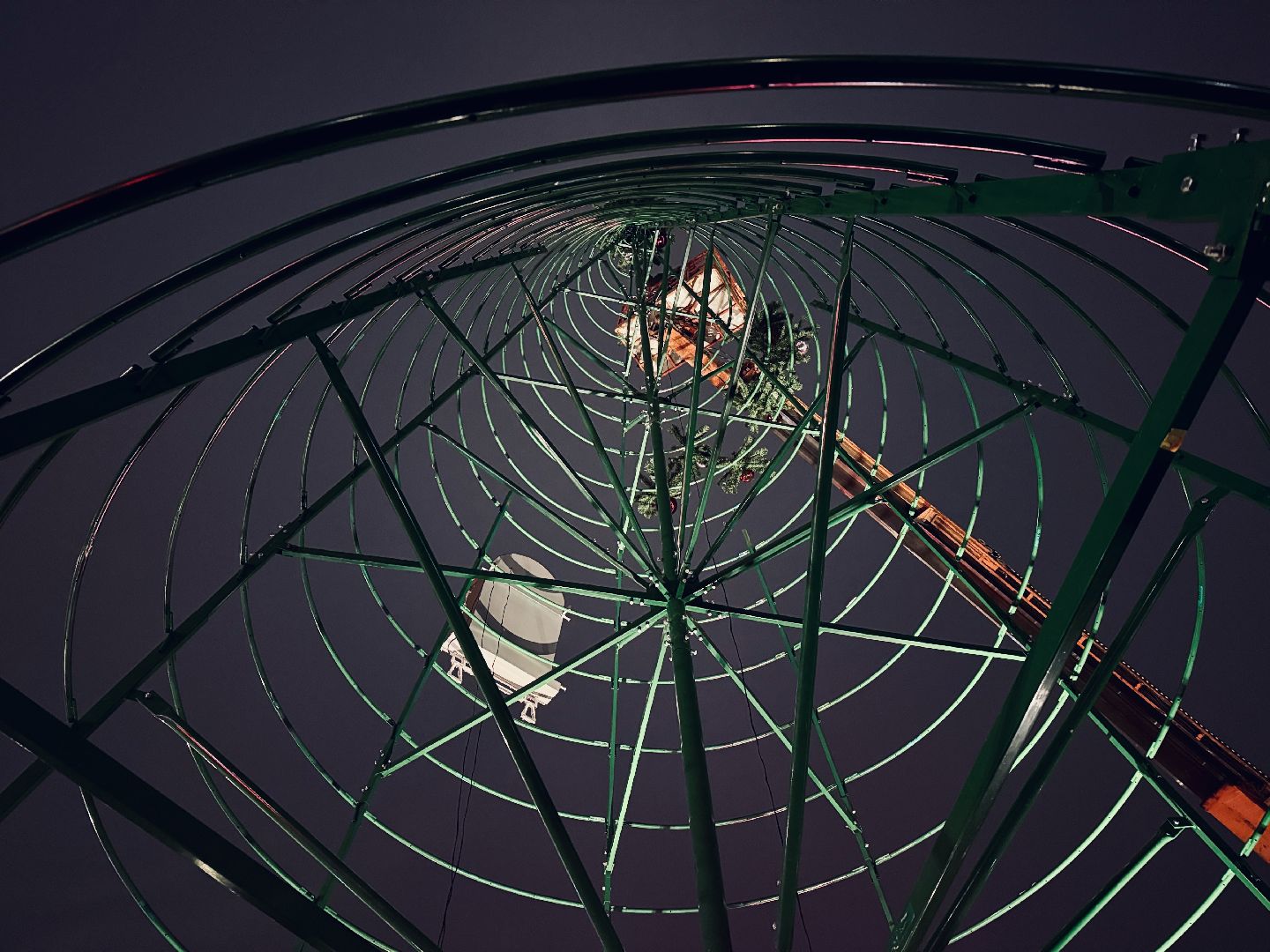 раменское, главная елка, новогодняя ель, новый 2026 год,