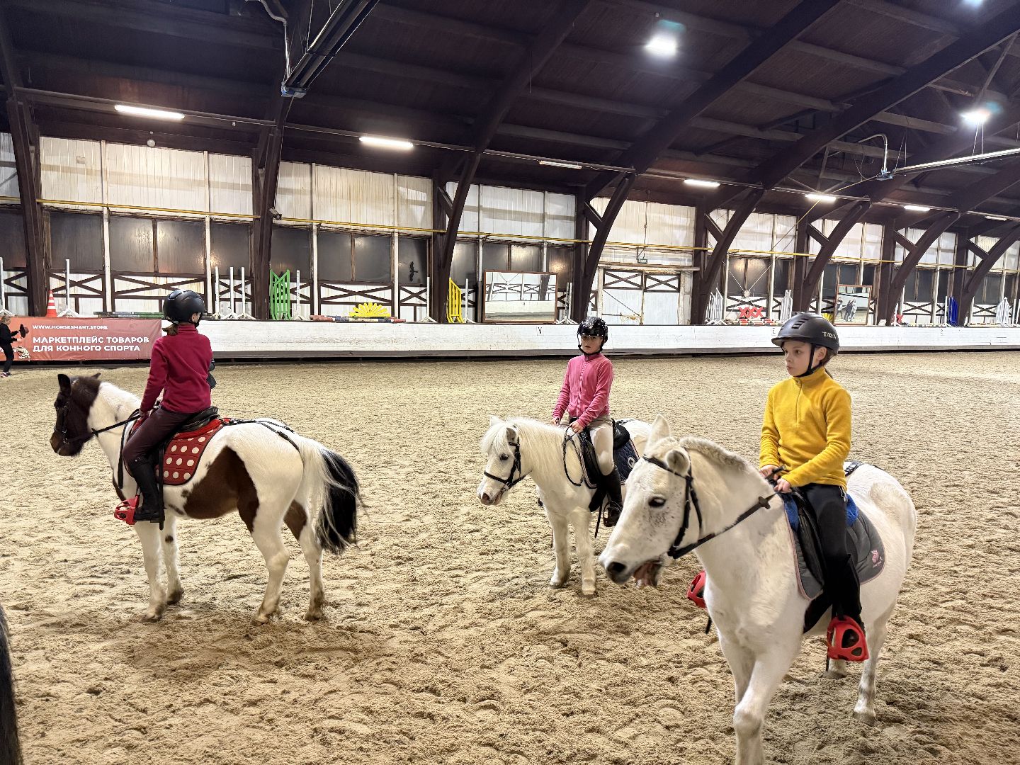 Котельники,Конная спортивная школа, Новогодний спектакль , Глава Котельников, Елка,