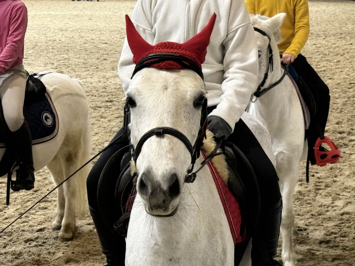 Котельники,Конная спортивная школа, Новогодний спектакль , Глава Котельников, Елка,