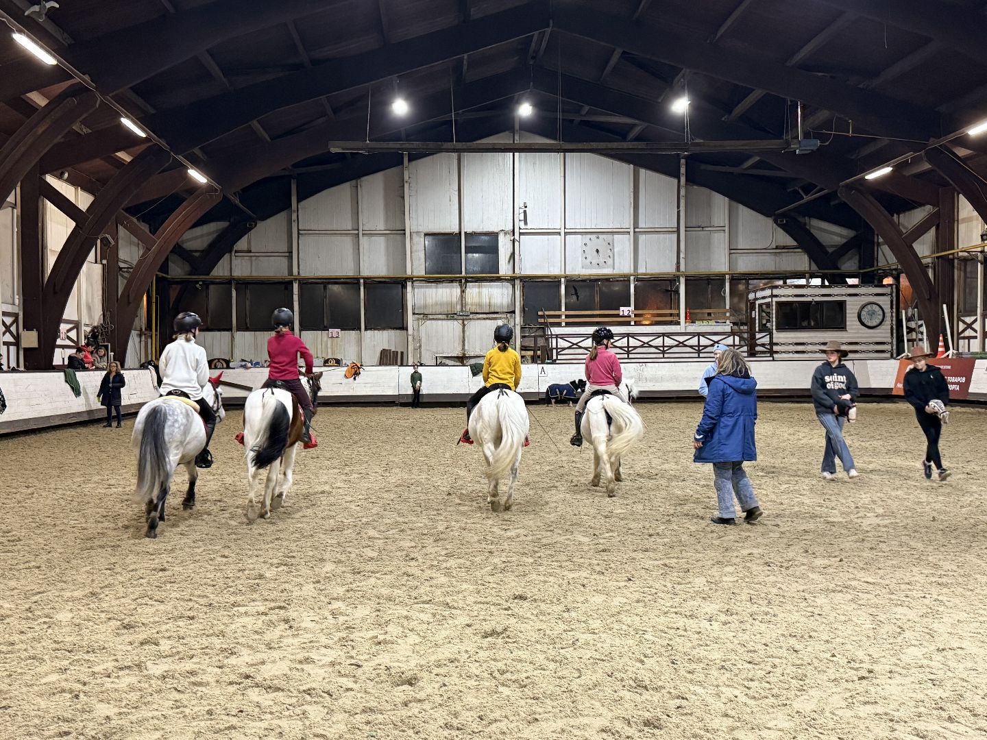 Котельники,Конная спортивная школа, Новогодний спектакль , Глава Котельников, Елка,