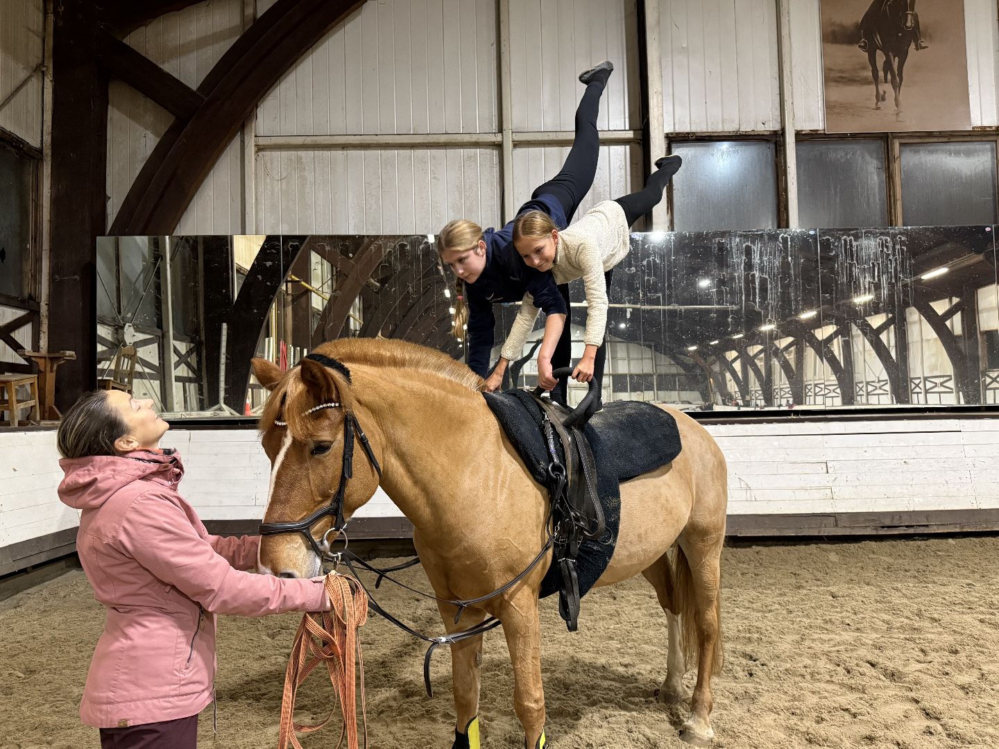 Котельники,Конная спортивная школа, Новогодний спектакль , Глава Котельников, Елка,