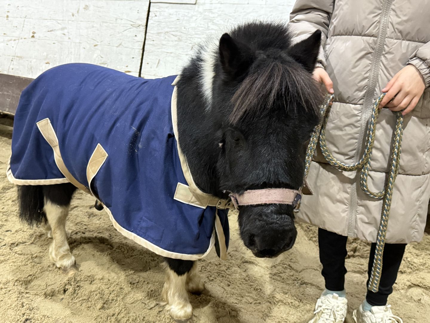 Котельники,Конная спортивная школа, Новогодний спектакль , Глава Котельников, Елка,