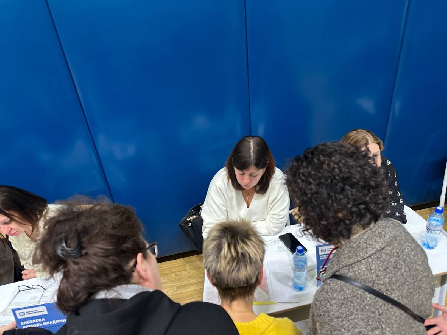 власть, выездная администрация, домодедово,