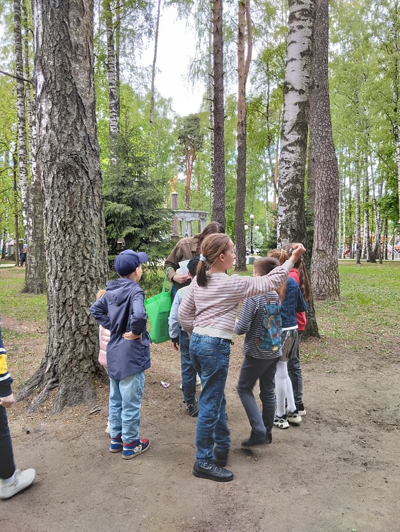 Фестиваль, Центральный парк, парк, Ногинск, Богородский городской округ