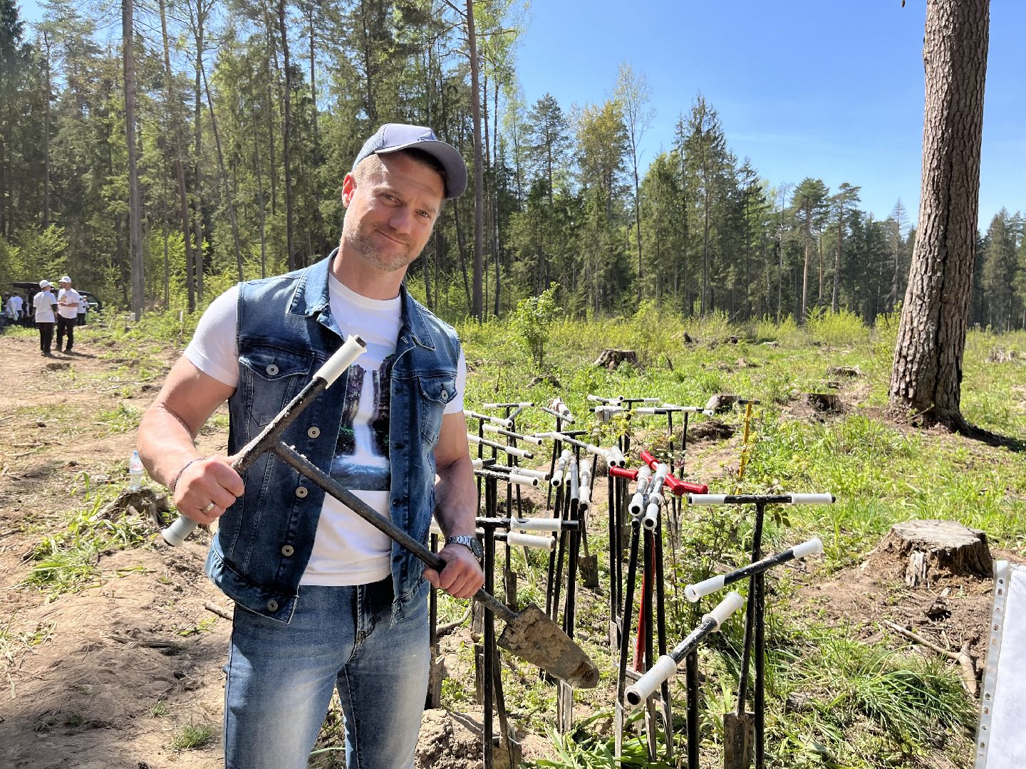 Лес Победы, Наро-Фоминский городской округ, ёлка, высадка деревьев, память