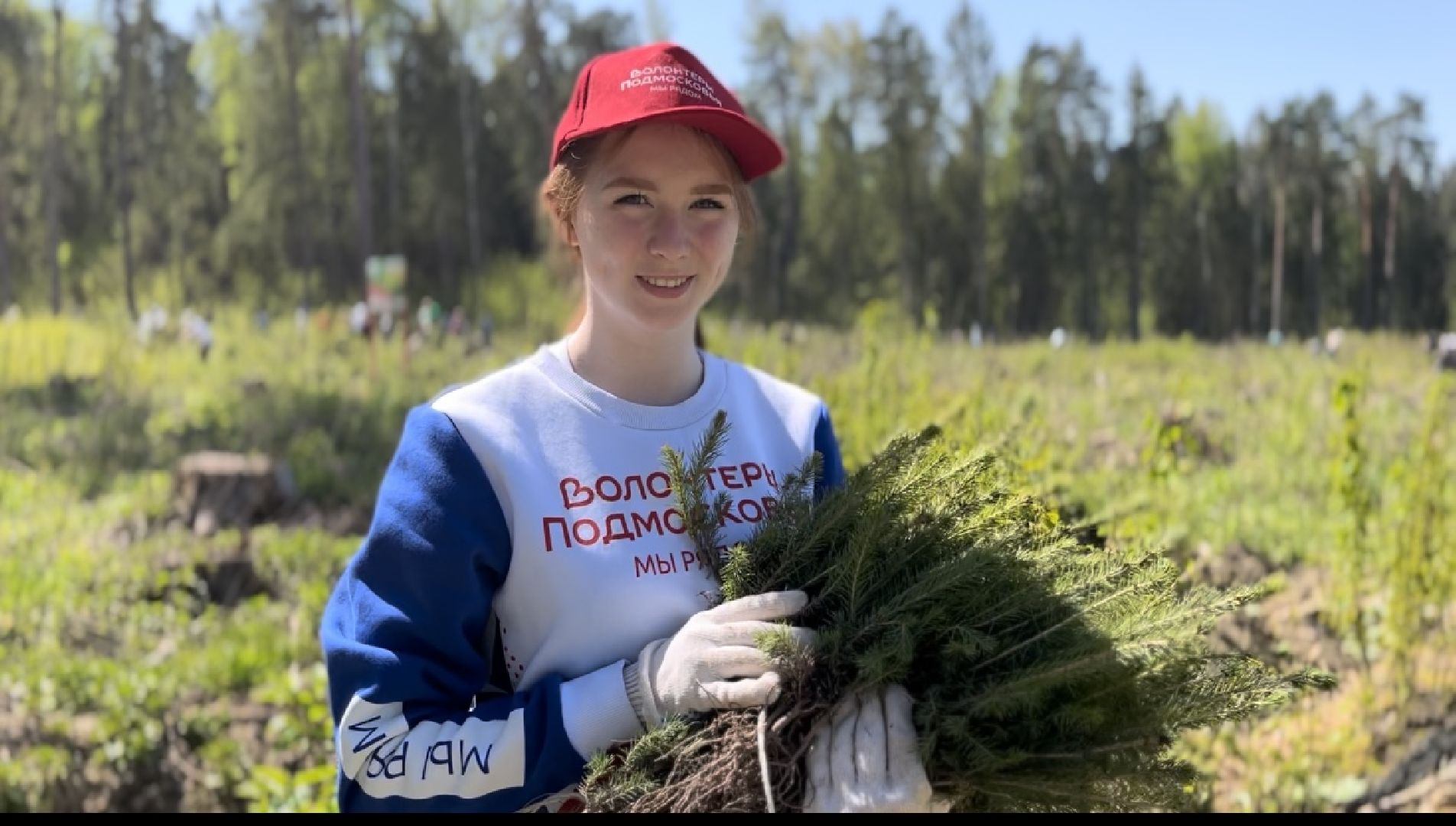 Лес Победы, Наро-Фоминский городской округ, ёлка, высадка деревьев, память