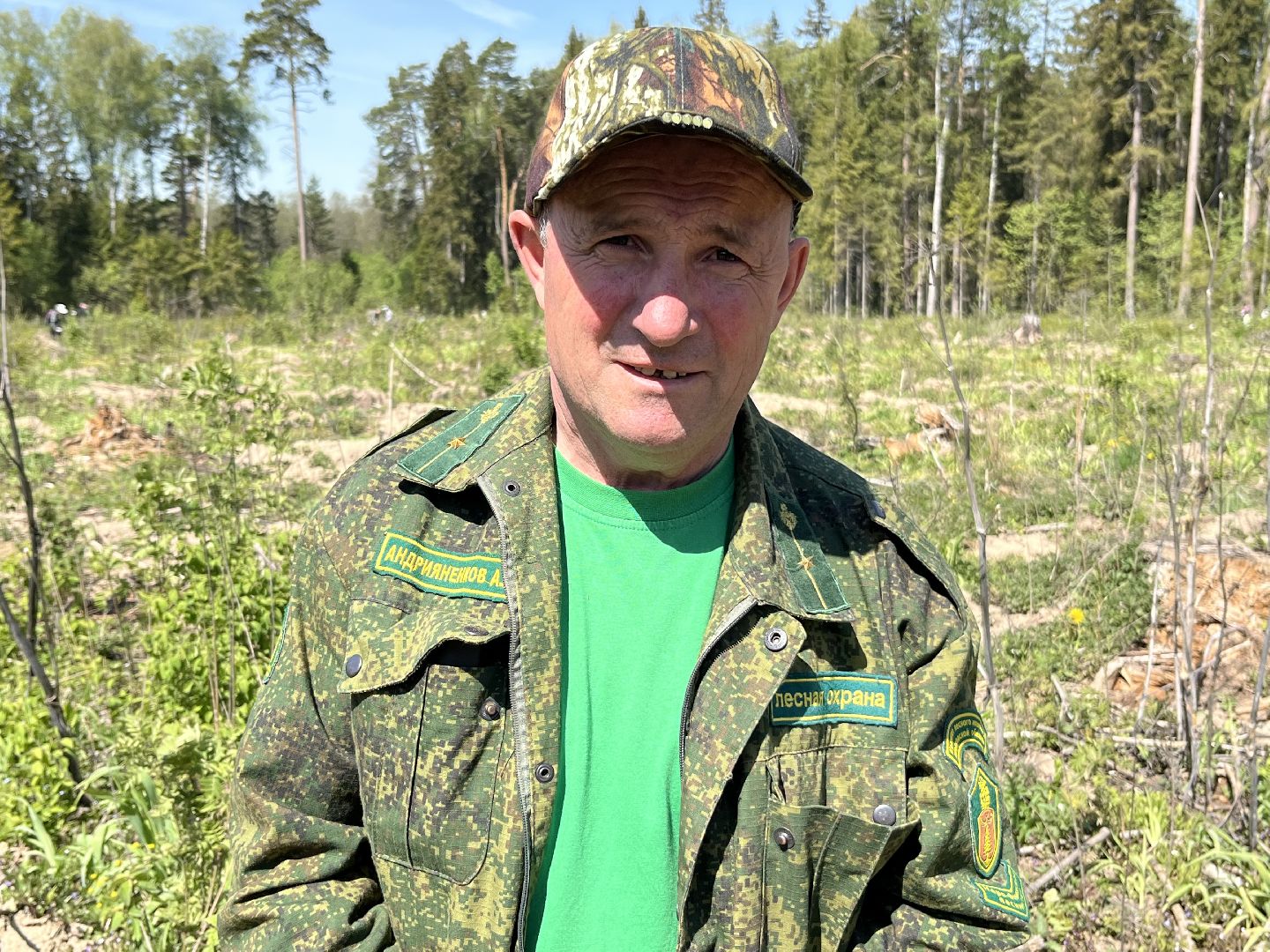 Лес Победы, Наро-Фоминский городской округ, ёлка, высадка деревьев, память