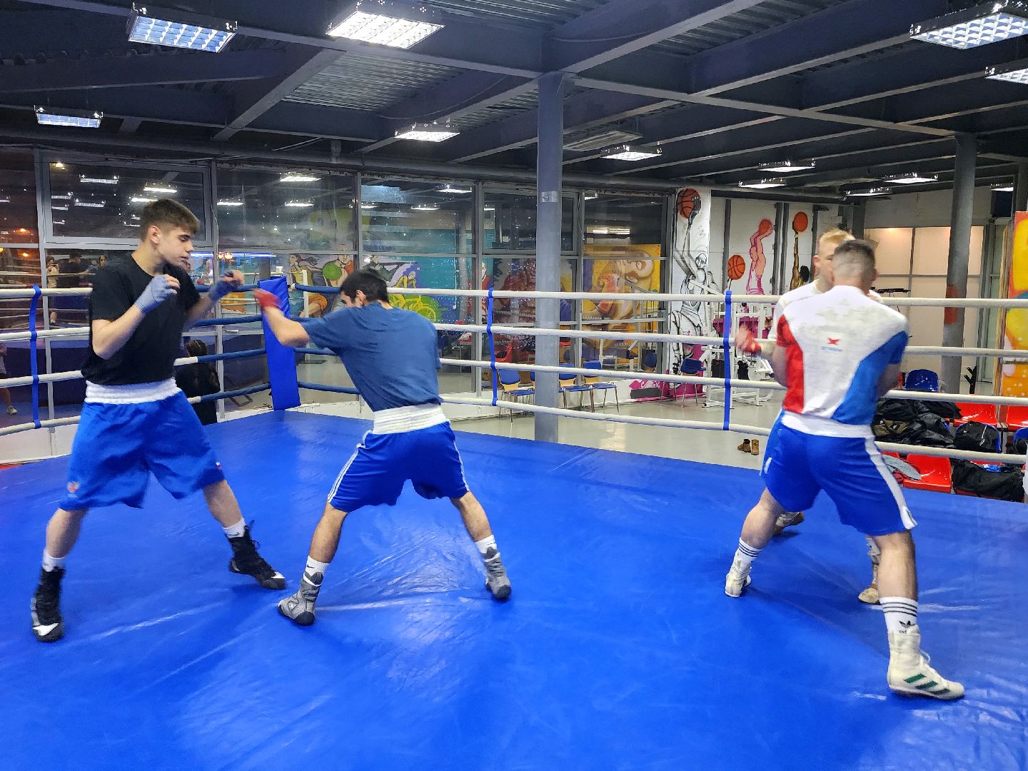 дубна, спорт, бокс, спортивный турнир,