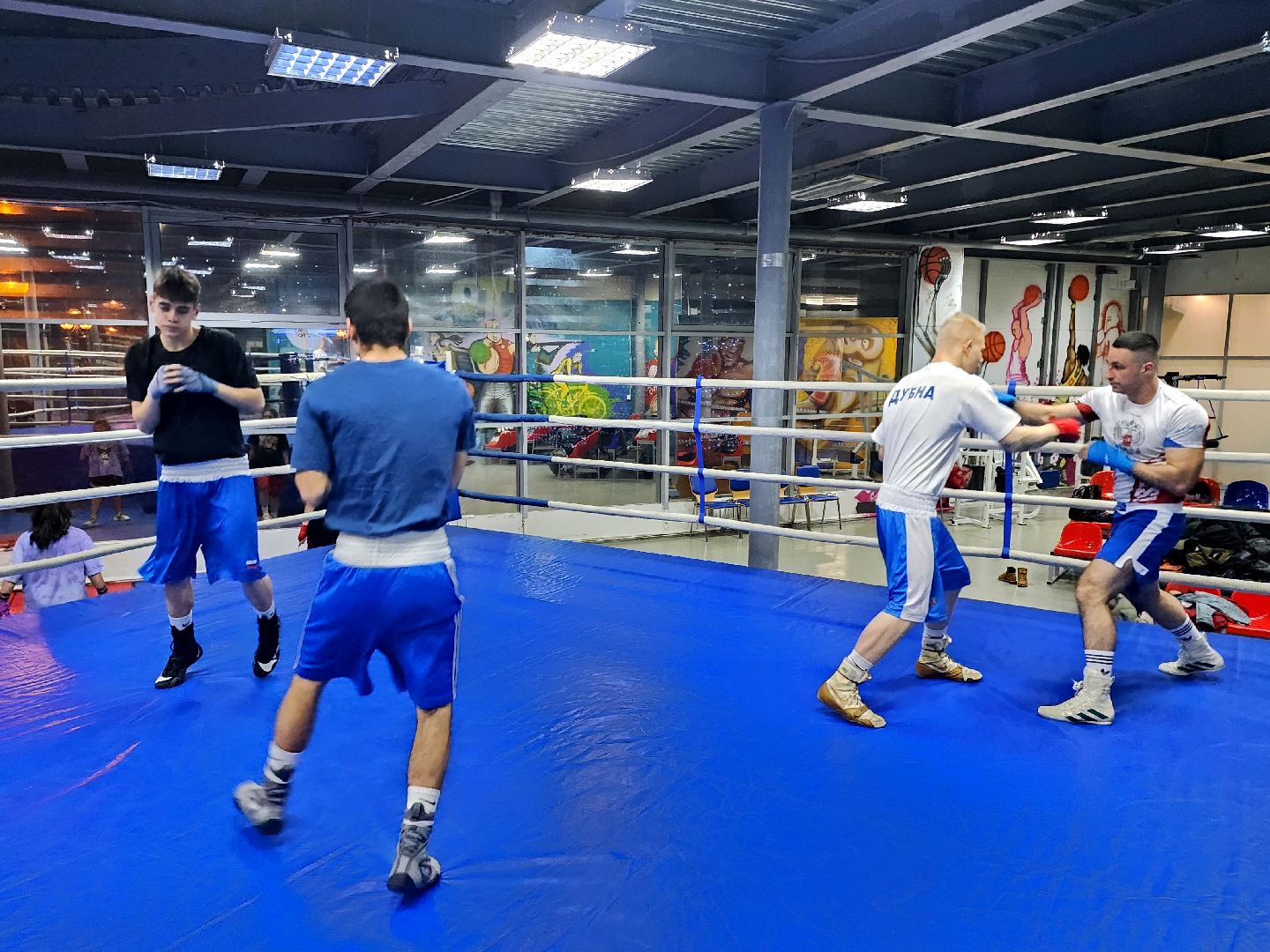 дубна, спорт, бокс, спортивный турнир,
