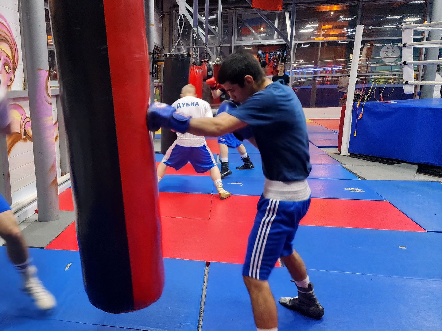 дубна, спорт, бокс, спортивный турнир,