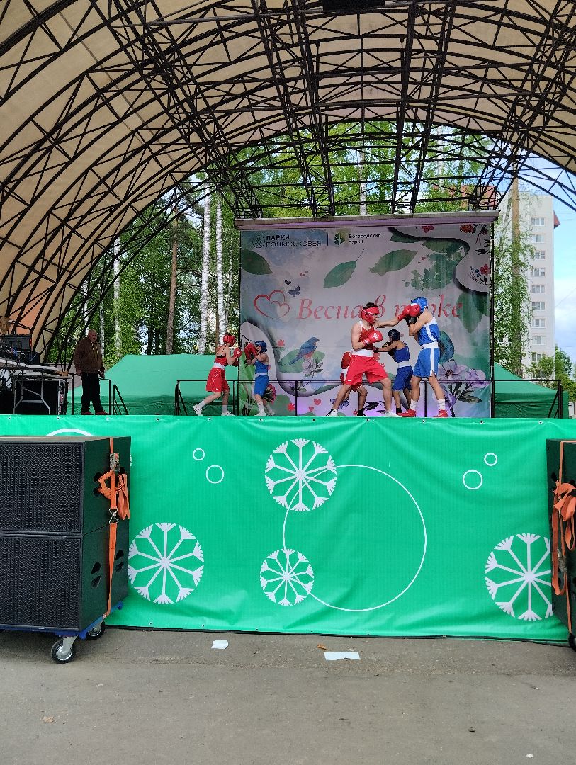 Фестиваль, Центральный парк, парк, Ногинск, Богородский городской округ