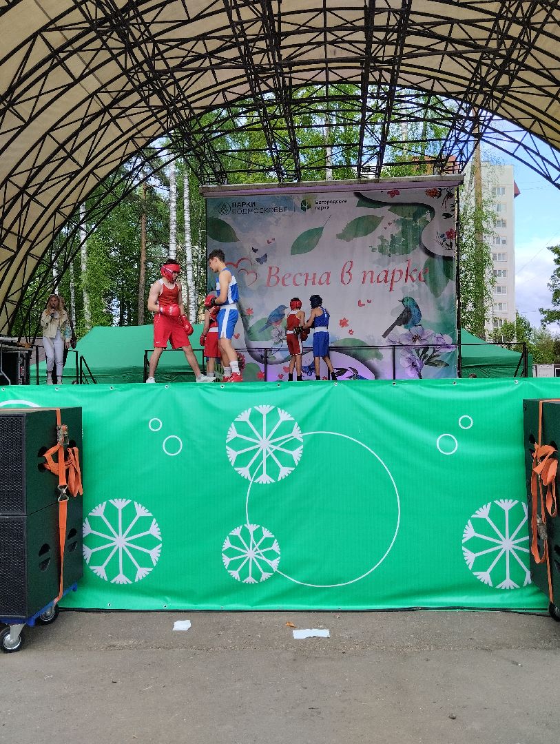 Фестиваль, Центральный парк, парк, Ногинск, Богородский городской округ