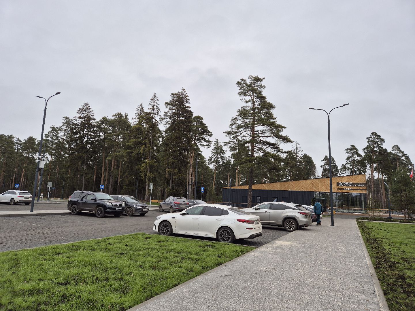 благоустройство парка, лесопарк стрелки, орехово-зуево,