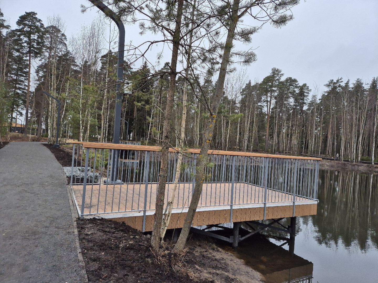 благоустройство парка, лесопарк стрелки, орехово-зуево,