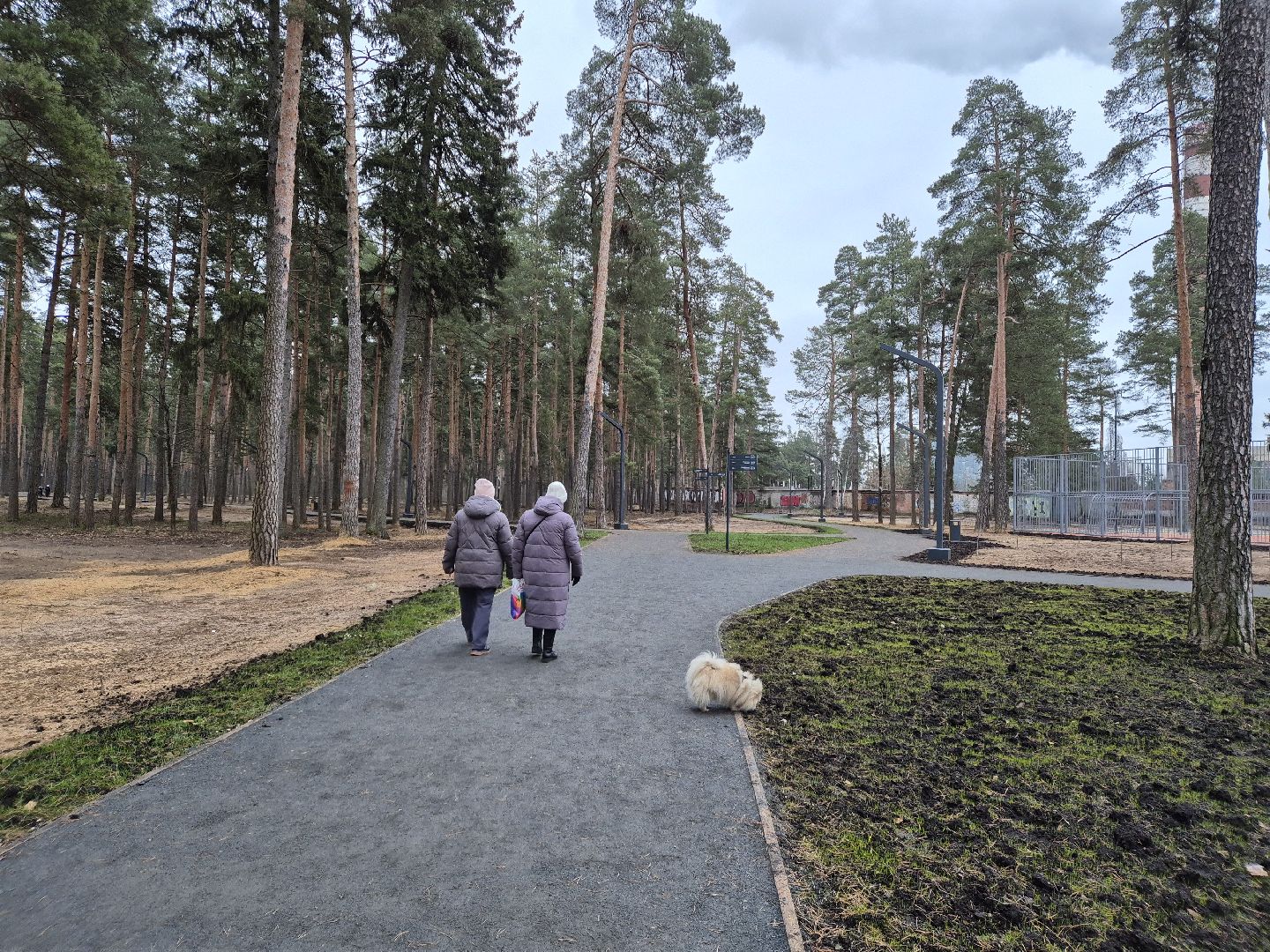 благоустройство парка, лесопарк стрелки, орехово-зуево,