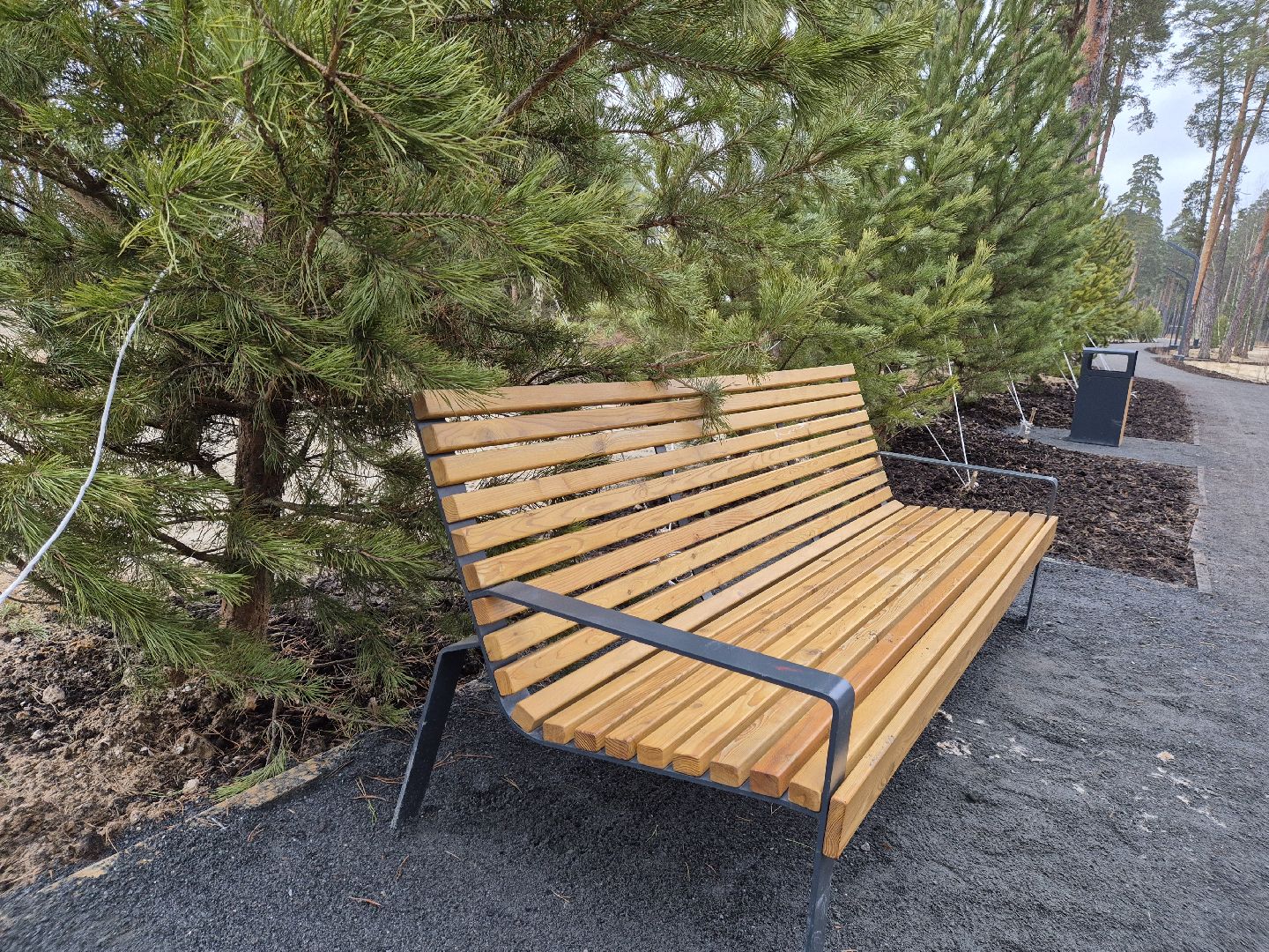 благоустройство парка, лесопарк стрелки, орехово-зуево,