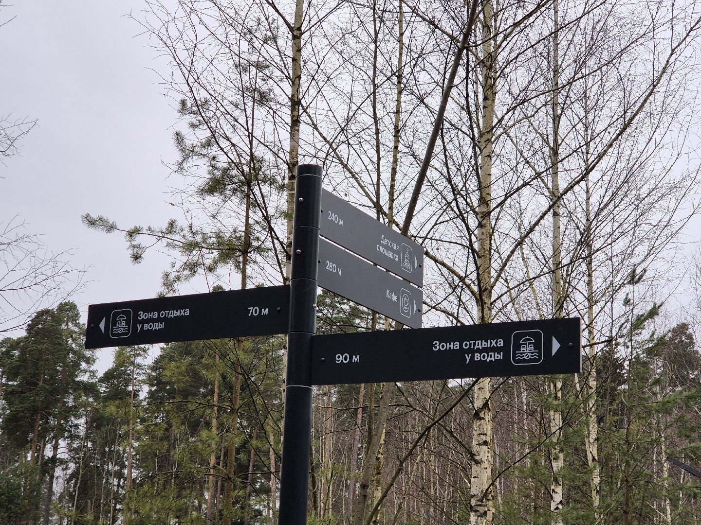 благоустройство парка, лесопарк стрелки, орехово-зуево,