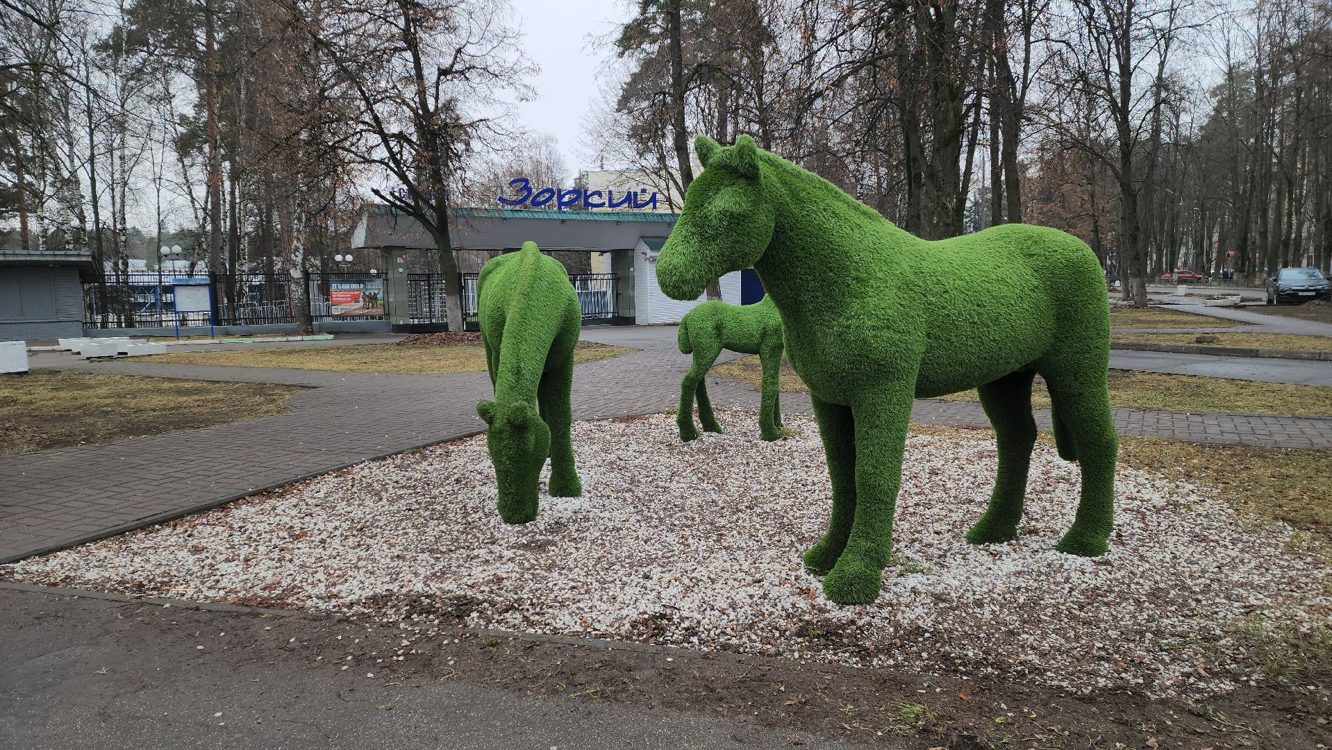 каток, зима в подмосковье 2025, красногорск, стадион зоркий,