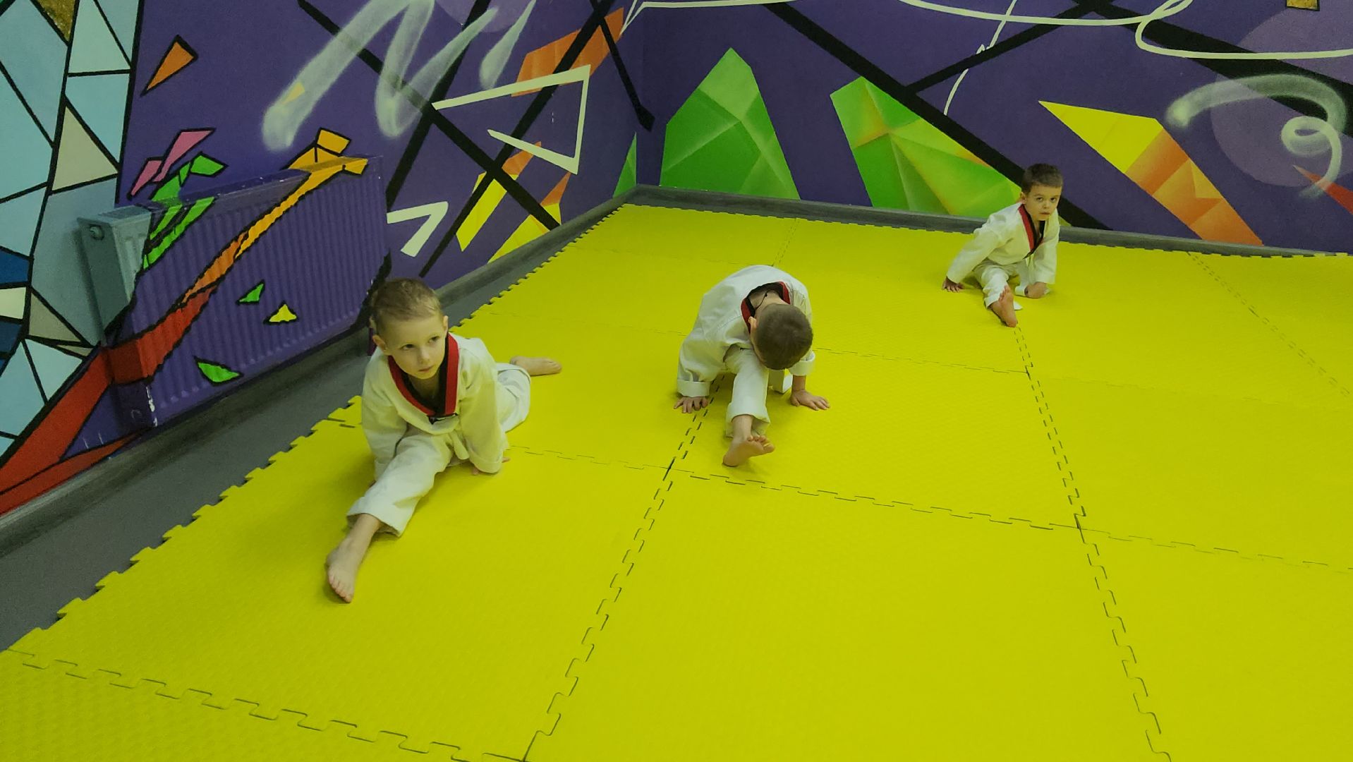 Истра, Спорт, Тхэквондо ,