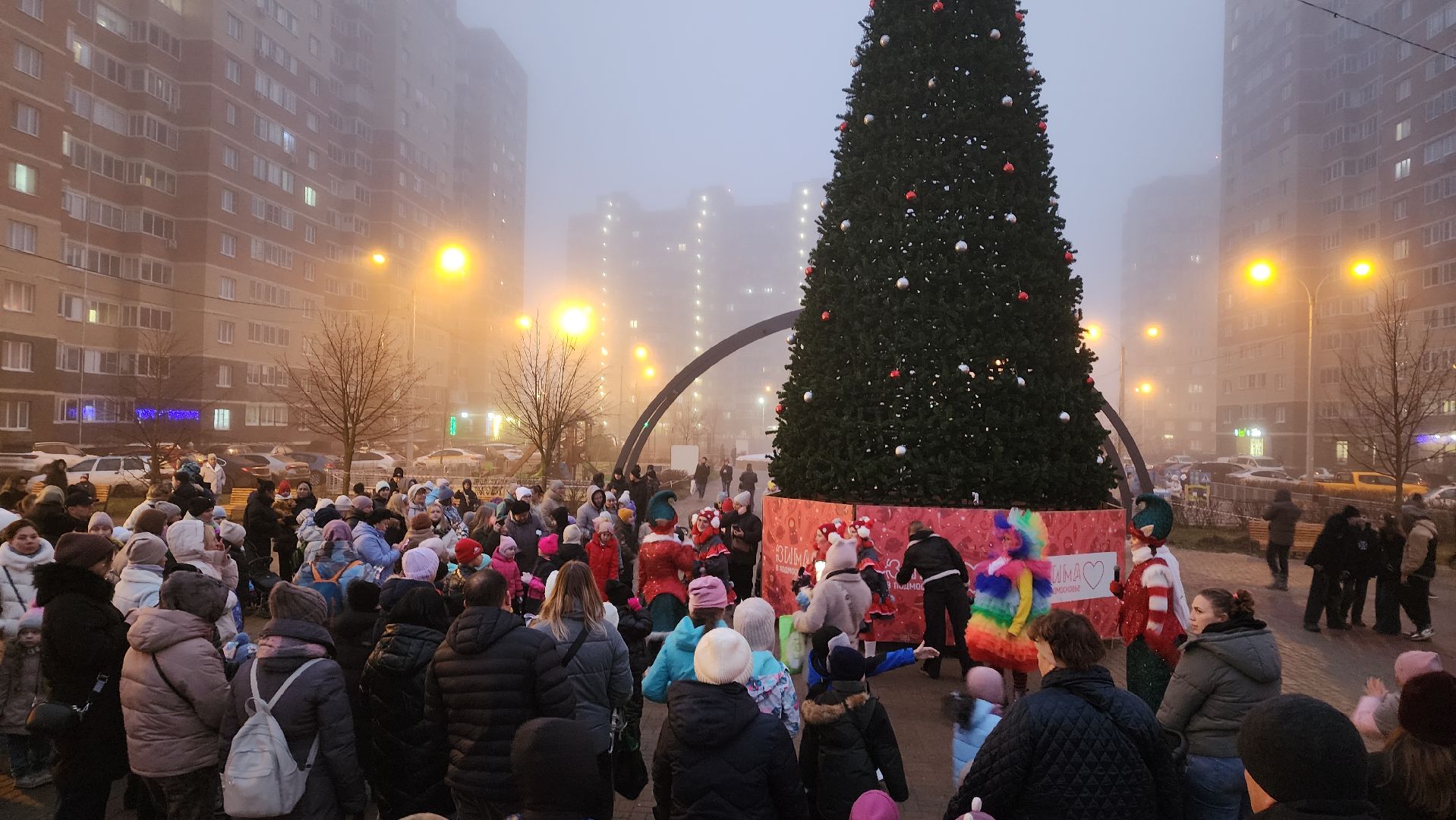 зима, зима в подмосковье, лосино-петровский,