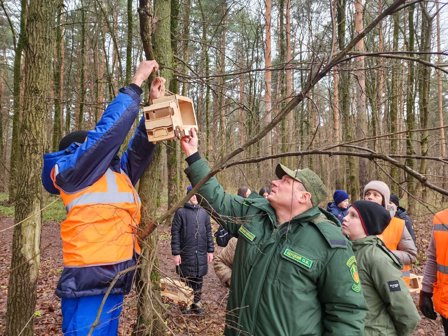 Подольск, лес, кормушки для птиц, школьное лесничество, подольское лесничество,