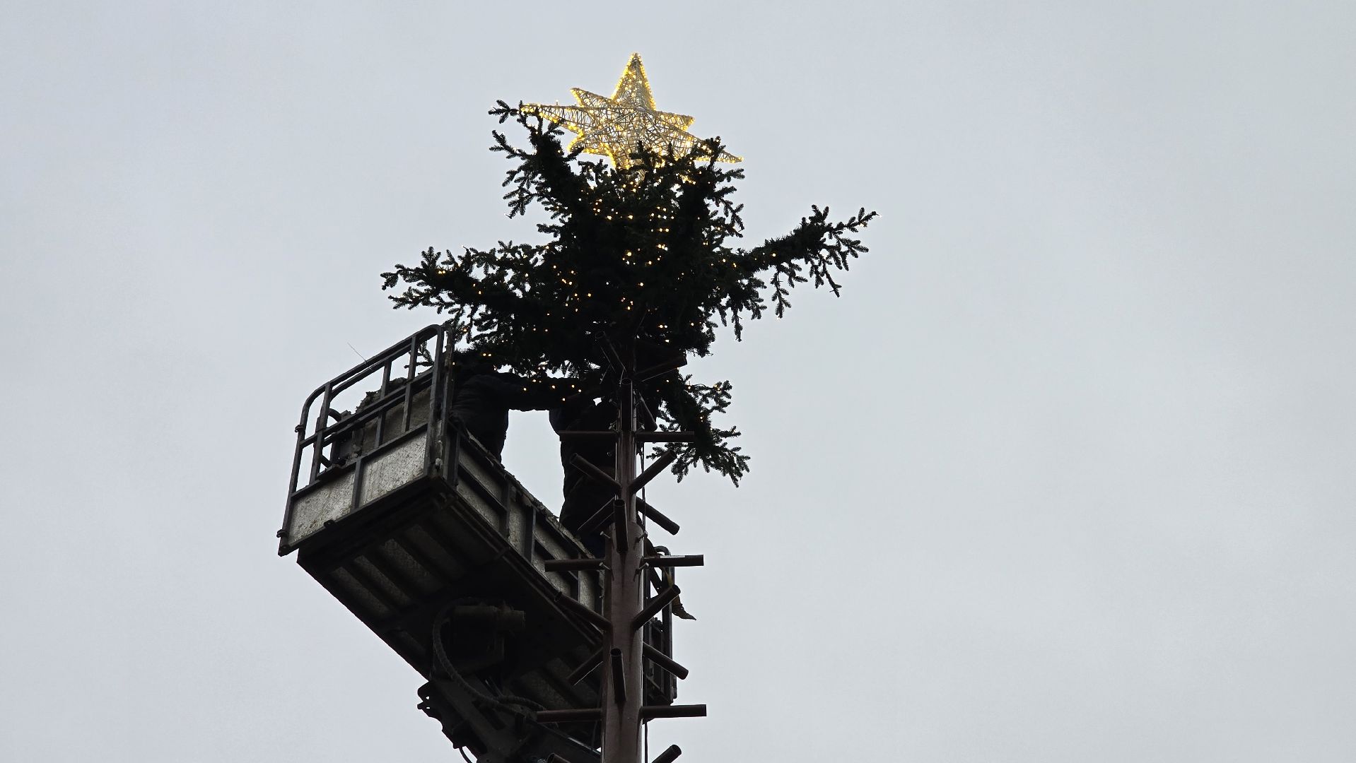 Коломна, подготовка к новому году, новогодняя елка, зима в подмосковье,