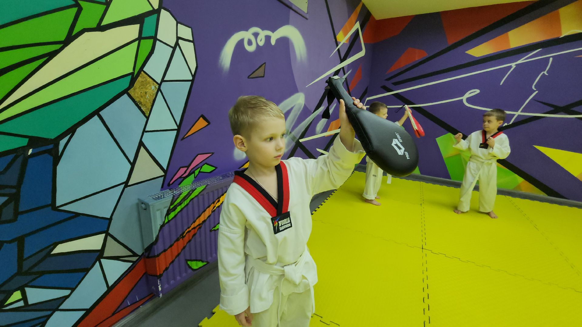 Истра, Спорт, Тхэквондо ,