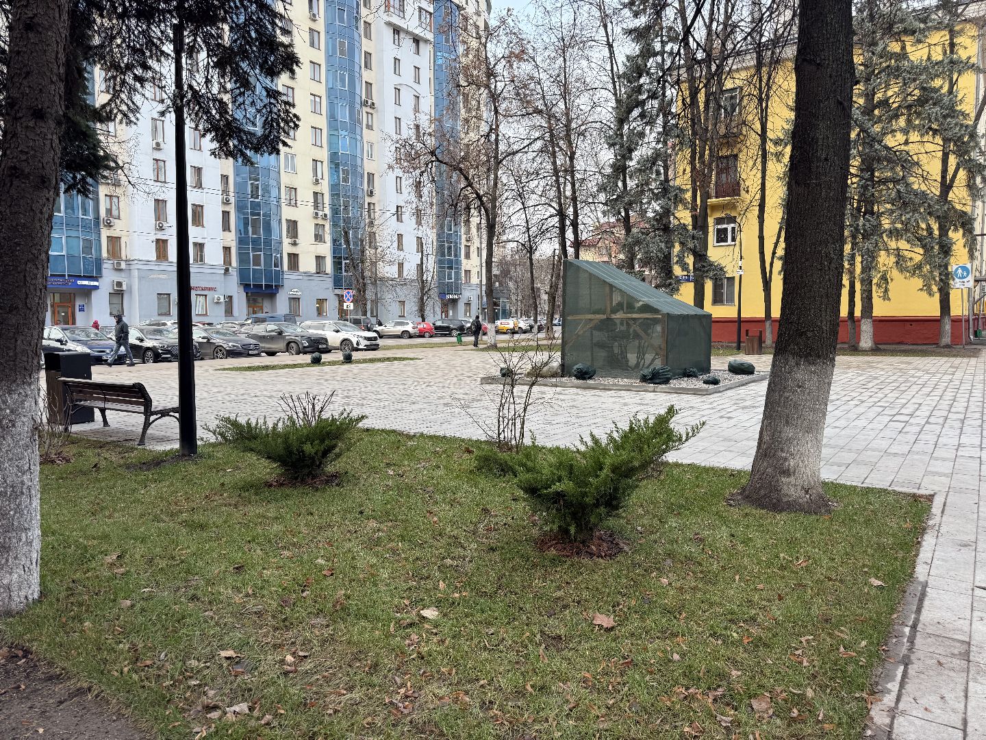 Реутов, Сквер , Бонсай , Зима,