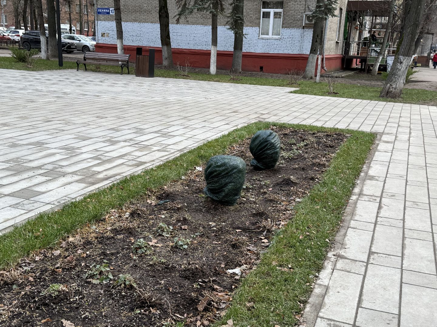 Реутов, Сквер , Бонсай , Зима,