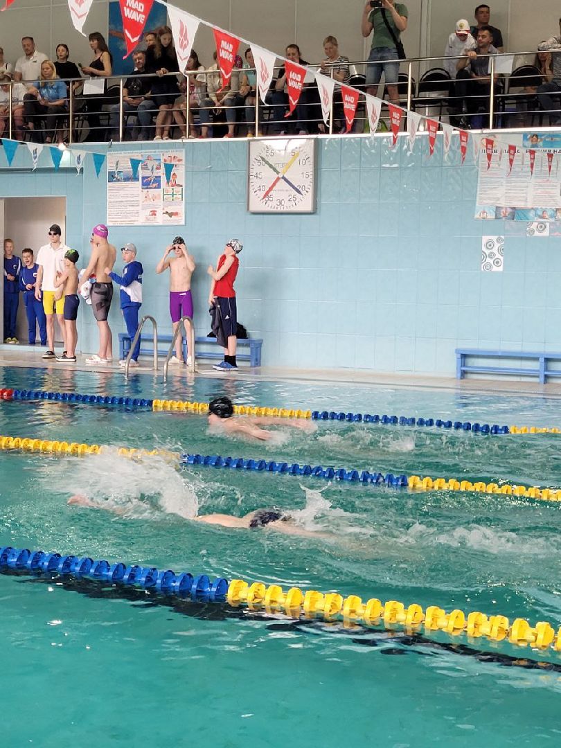 спорт; кубок; плавание; развилка; евгений рылов