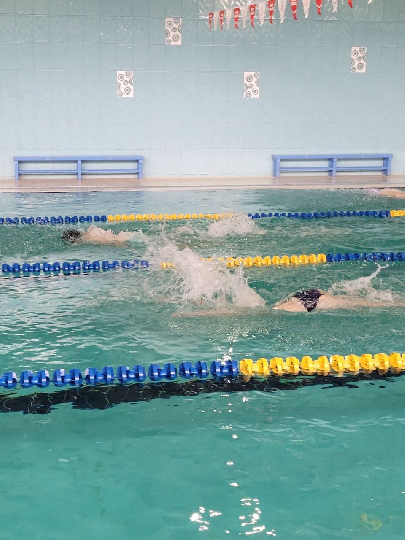 спорт; кубок; плавание; развилка; евгений рылов