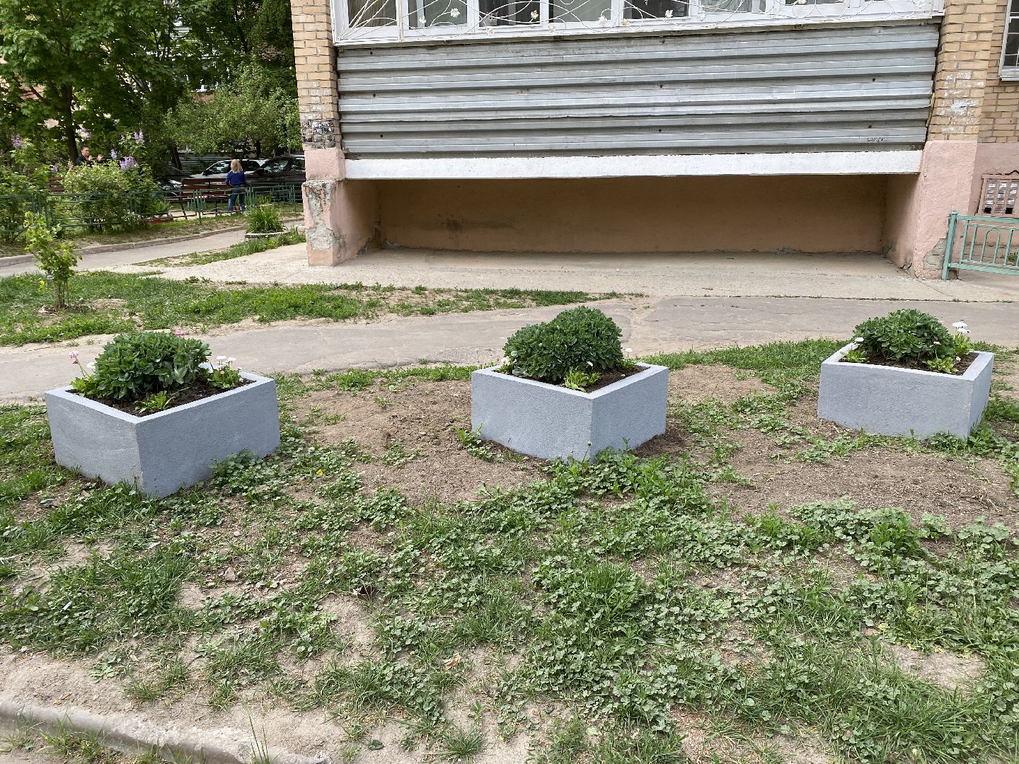 Чехов, клумбы, вазоны, ЖКХ, МКД, жители