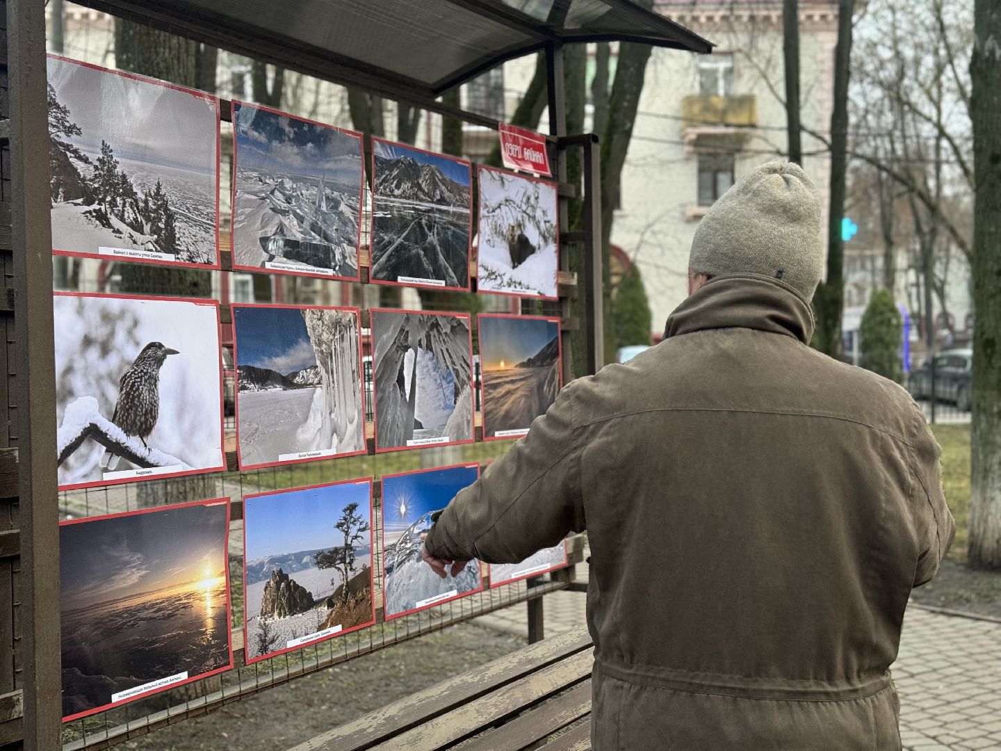 фотовыставка , ленинский городской округ, сквер юность,